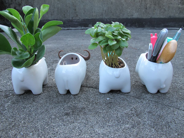 【生活玩物】增添綠意的圓滾滾小動物：Kedo 愛動物花器