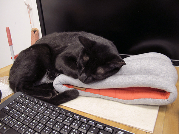 【生活玩物】走到哪睡到哪,一戴上立刻讓你大睡一場的 Ostrich Pillow 鴕鳥枕