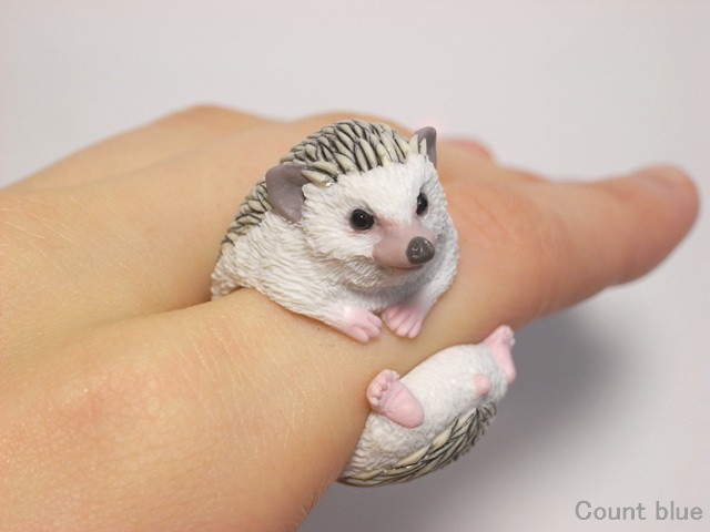 身上有刺卻愛不釋手~小小刺蝟爬上手指囉!