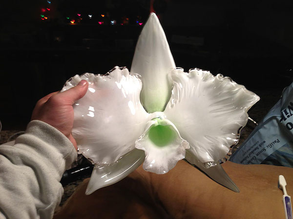 巨大化才能看清楚！超級擬真的玻璃花草雕塑