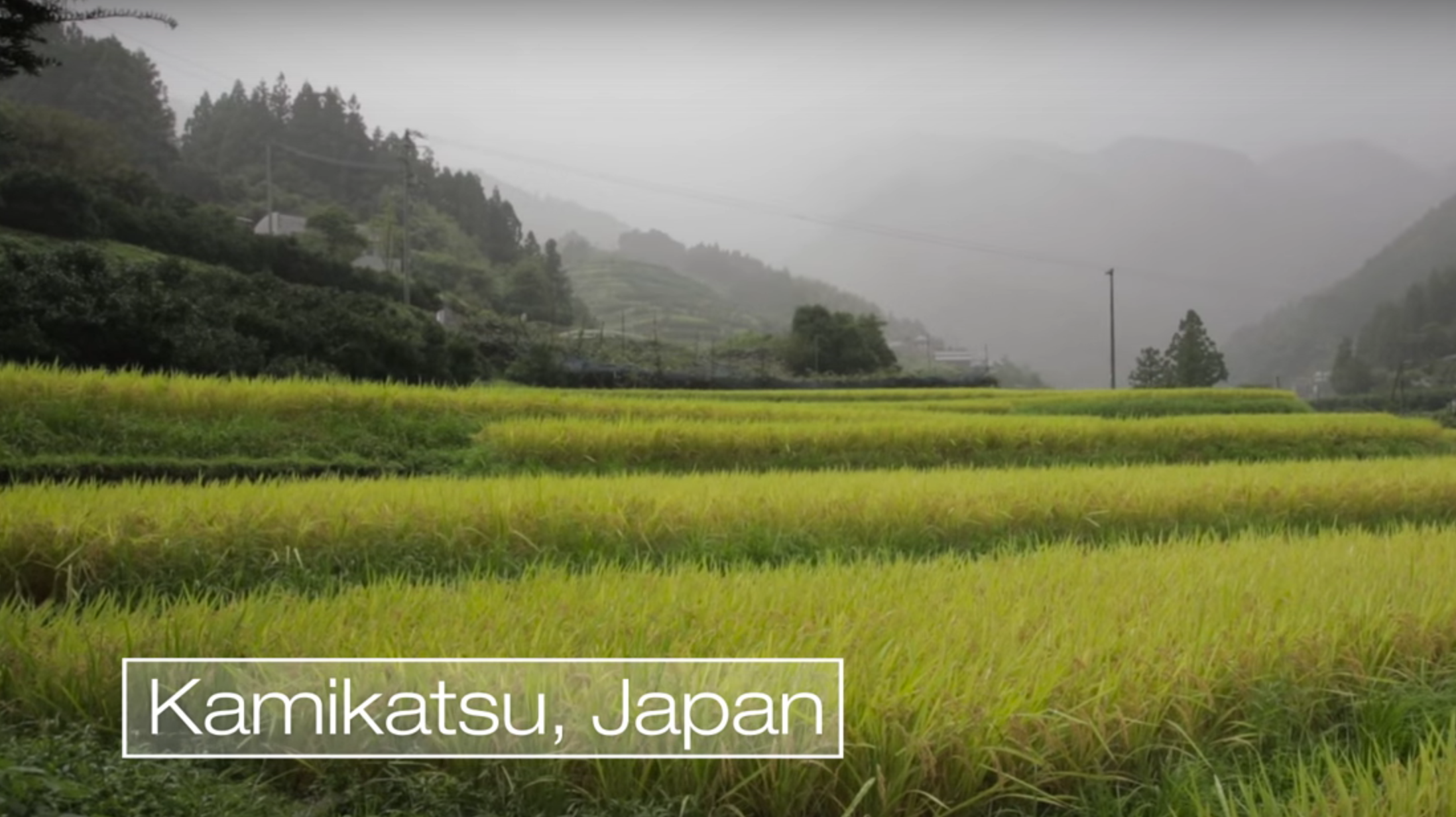 朝向「零廢棄物」城鎮邁進：日本上勝町的垃圾分類