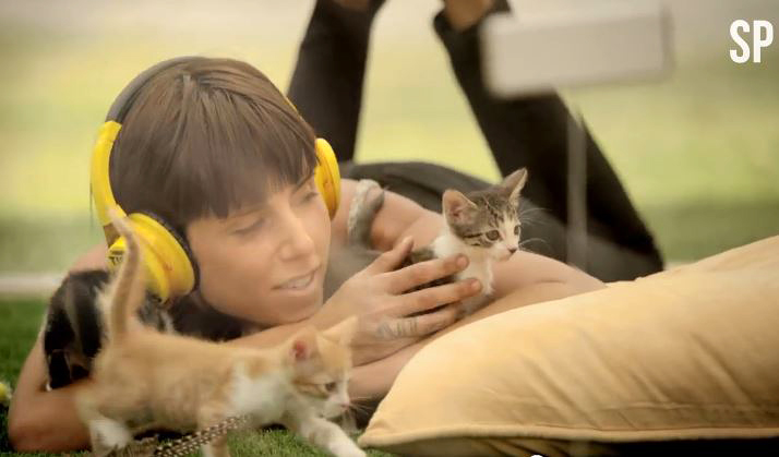 光看就要融化了，絕對無敵小貓療法