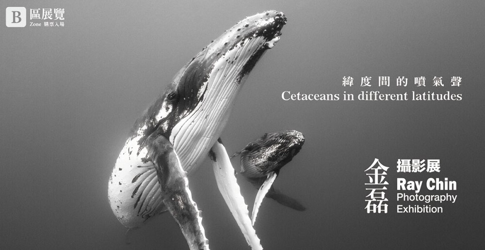 2021新光三越國際攝影展亮點！集結宜蘭抹茶山美景、水下鯨豚攝影等277幅作品