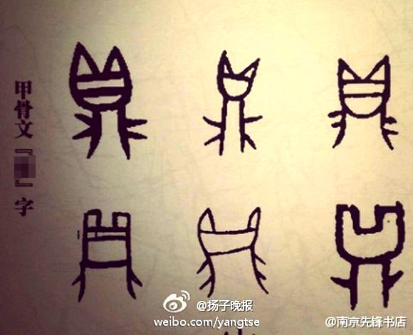 傲嬌小貓和甲骨文的奇妙關聯~~