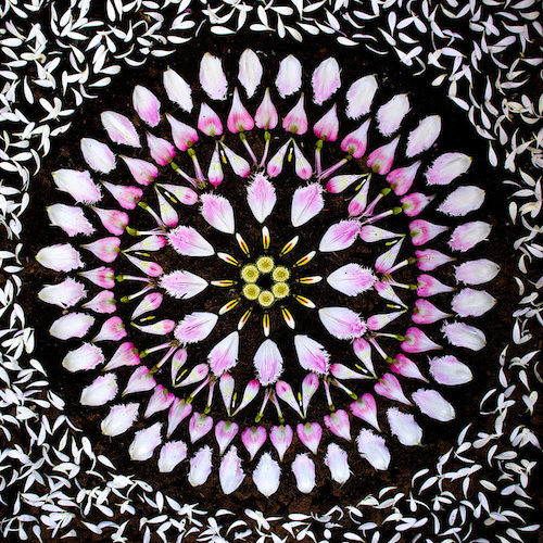 千真萬確的萬「花」筒，對稱和諧又華麗迷幻的花瓣圖騰