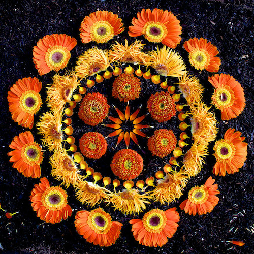 千真萬確的萬「花」筒，對稱和諧又華麗迷幻的花瓣圖騰