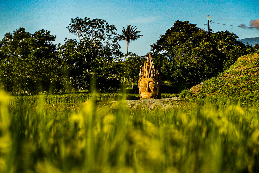 2020台東「漂鳥197-縱谷大地藝術季」亮點！自然材質、原住民文化等10組作品