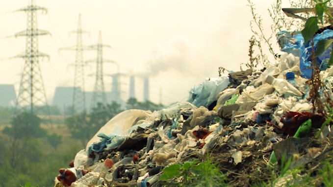 真正做到自然分解，28天回歸土地的樹葉餐盤