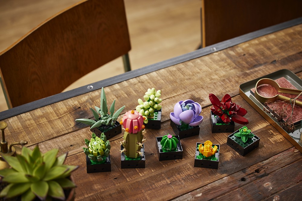 樂高lego多肉植物 蘭花登場 樂高 植感溫室 同步快閃台北信義誠品 大人物