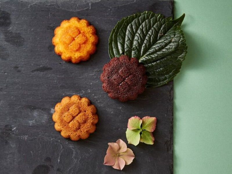 日本鎌倉必買甜點伴手禮！老鋪新生「鎌倉New German」卡士達蛋糕、山櫻派、紫陽花餅乾等洋菓子