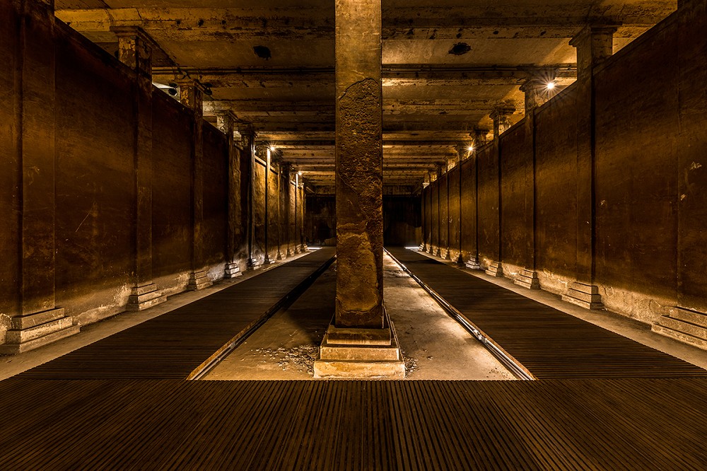 台北觀音蓄水池《獵島計畫》亮點！藍眼淚、化石紙雕等13組作品打造地下奇幻展覽