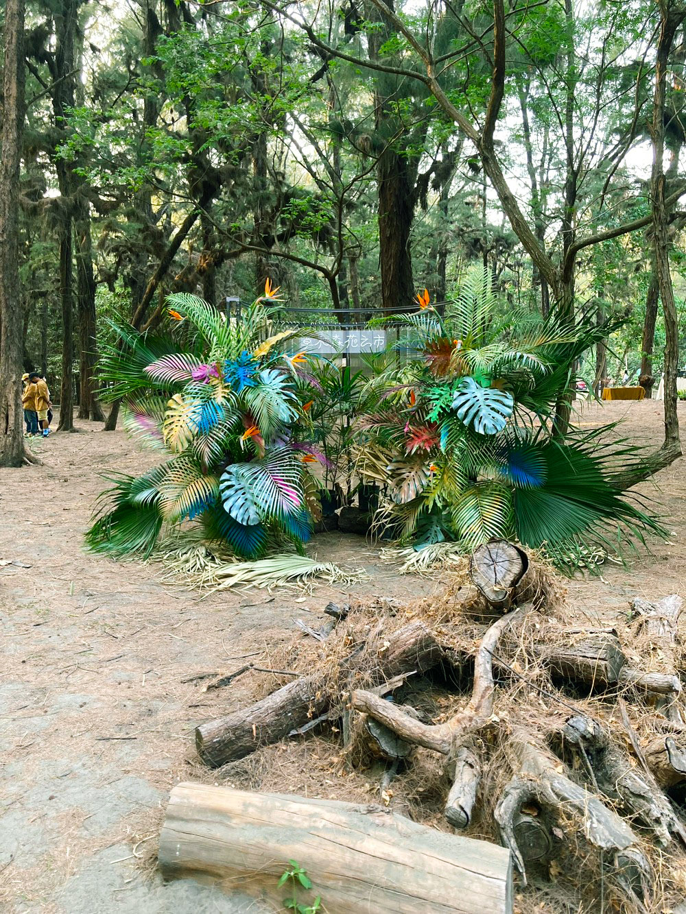 台南2023漁光島藝術節「草木森花之市」！集結全台300家植物、甜點、手作品牌