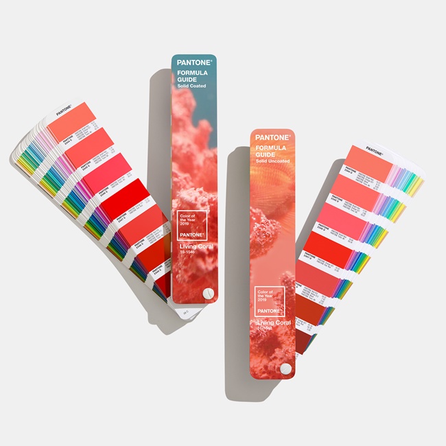 Pantone 2019年度代表色揭曉！用溫暖積極的「Living Coral 活珊瑚橘」療癒人心