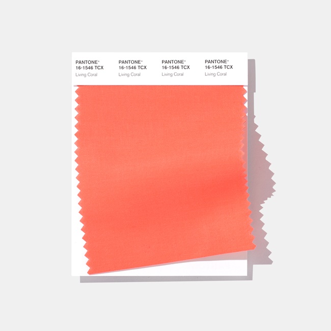 Pantone 2019年度代表色揭曉！用溫暖積極的「Living Coral 活珊瑚橘」療癒人心