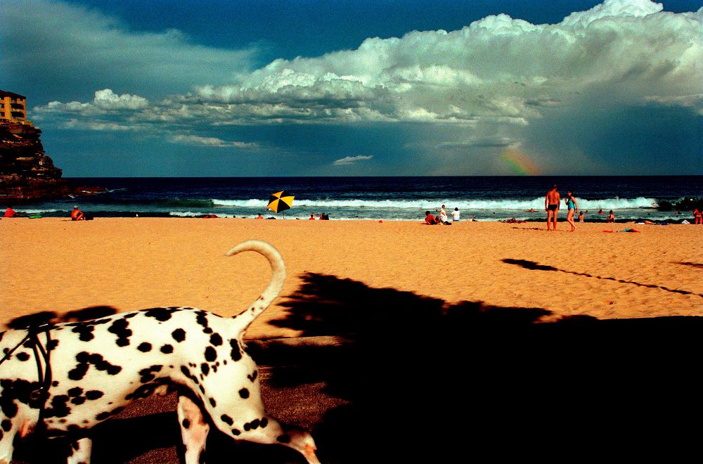 天才攝影師作品齊聚!LOBA 徠卡奧斯卡.巴納克攝影獎 40 週年回顧展紀錄下一幕幕驚心動魄和深刻眼神