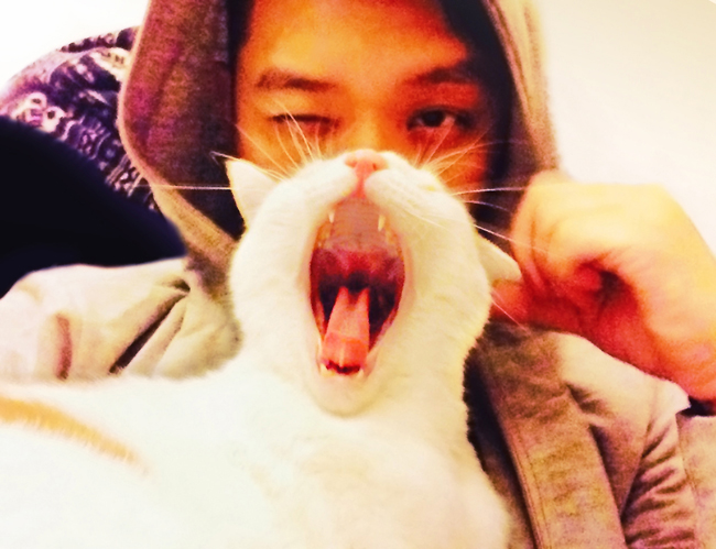 Meow～喵星人的「喵體字」，萌姿態就在細節裡