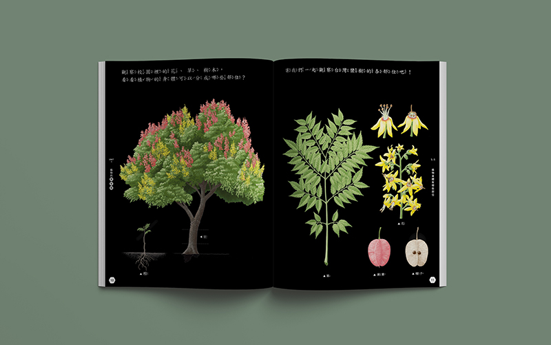 國中小課本變美還結合 AR！美感教科書第三季設計陣容：三⾴⽂、Bito、無⽒製作、臺灣吧、⽇⽬ 5 ⼤團隊聯⼿操刀