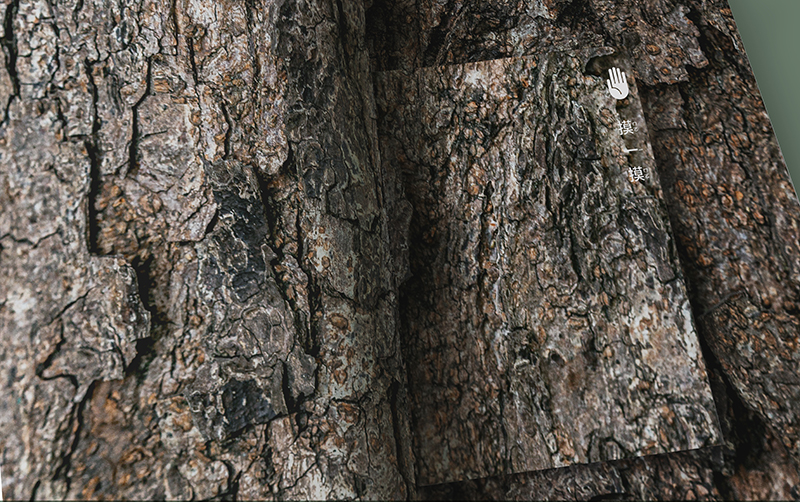 國中小課本變美還結合 AR！美感教科書第三季設計陣容：三⾴⽂、Bito、無⽒製作、臺灣吧、⽇⽬ 5 ⼤團隊聯⼿操刀