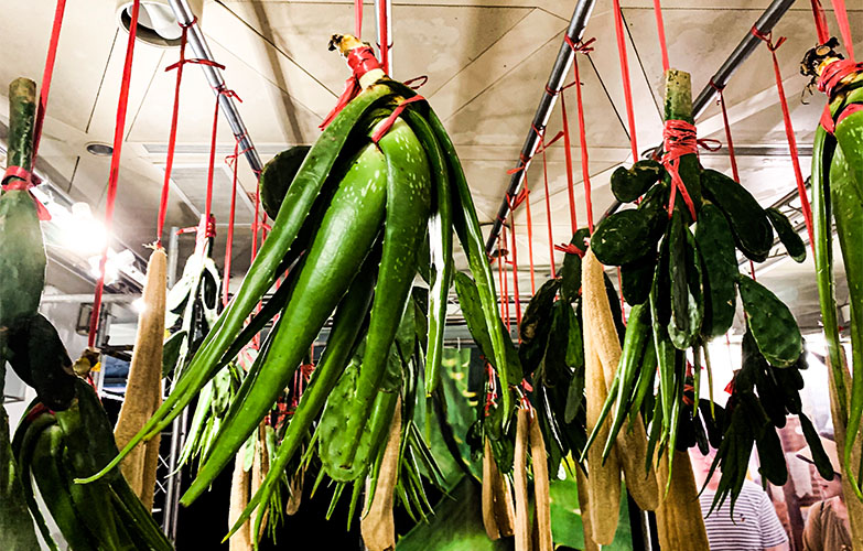 台北萬華「艋舺拚場」新舊工藝碰撞!燈籠、紅龜粿、青草店等 5 大經典和新世代工藝同場競技