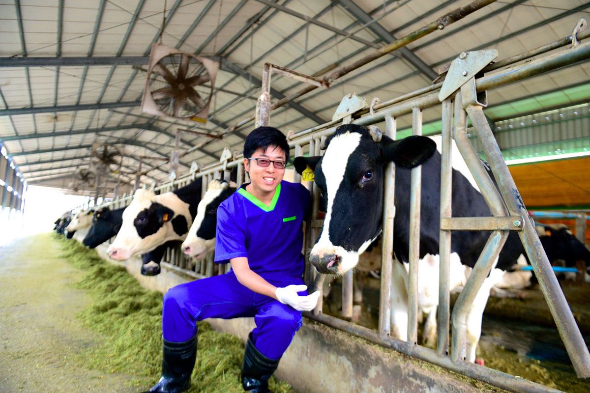 自己的鮮奶自己選，喝喝來自小酪農的牛奶吧！