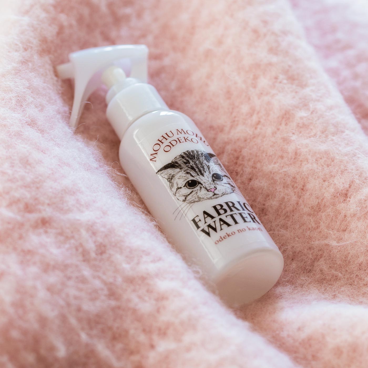 mohu_2.jpg?itok=zWa2uIp2