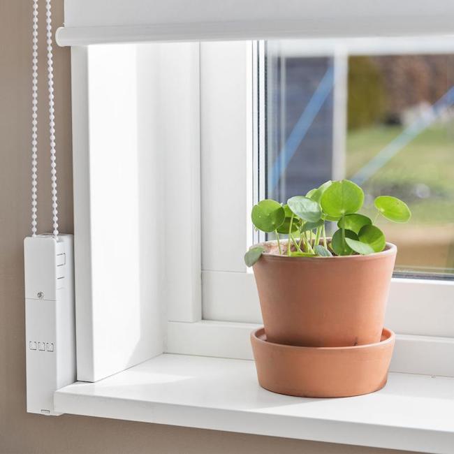 裝上 MOVE 窗簾小道具，讓溫暖陽光叫你起床