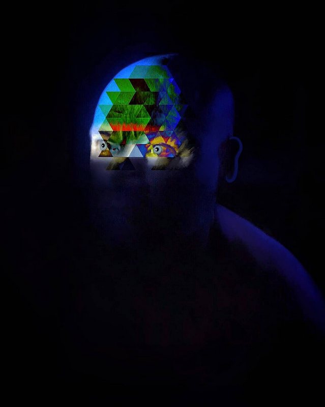 2020世界最佳手機攝影作品10+！捕魚瞬間、森林小鹿、男孩成長紀實入列