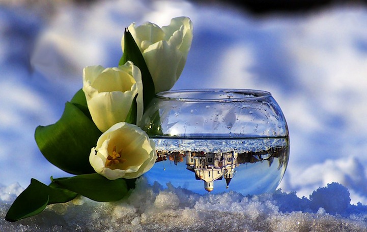 水晶般清澈美景，超美杯中倒影