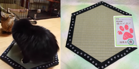 貓結界的進化版，京都老店舖打造貓用榻榻米座墊