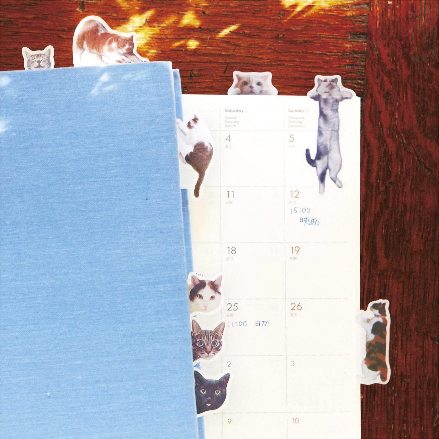 日本 Felissimo 將貓咪的頑皮身影做成客製化便利貼