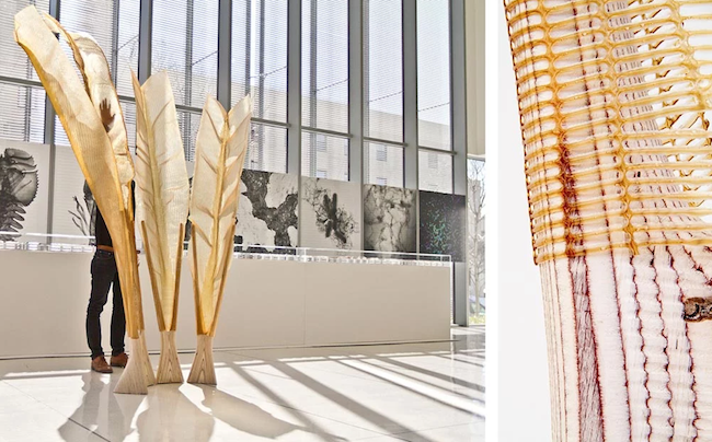 取自廣袤海洋的無盡資源，對環境無害的再生新材質