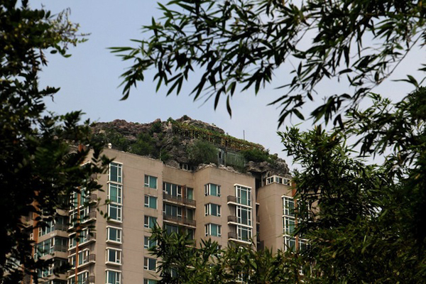 在樓頂上的假山夢幻山莊