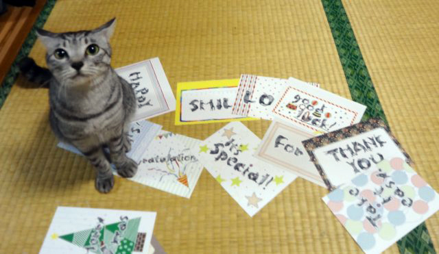 貓奴必備字體！日本「Neko Font」可自由發揮創意的可愛小貓字體