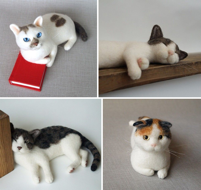 無法招架的眼神攻勢，快來領養超萌喵星人