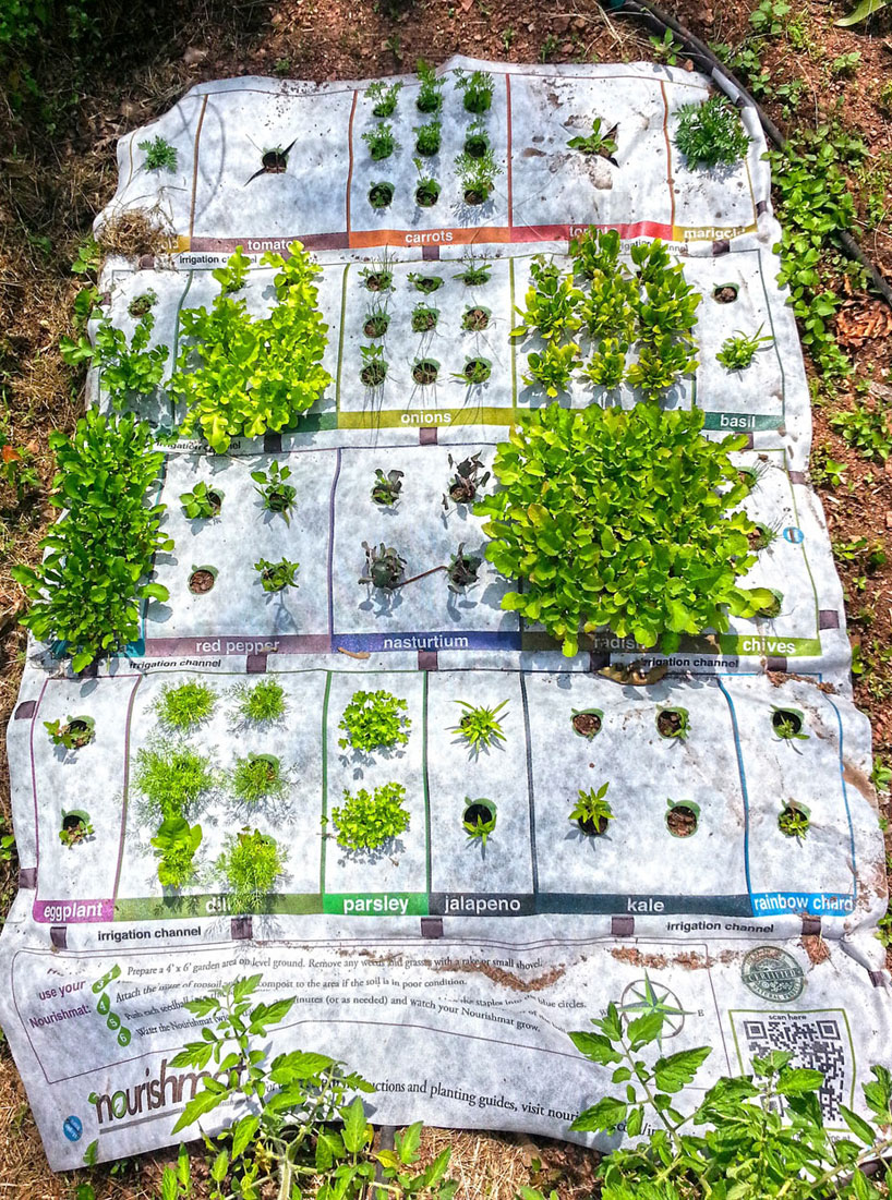 種菜也要防呆裝置，向小農之路邁進！