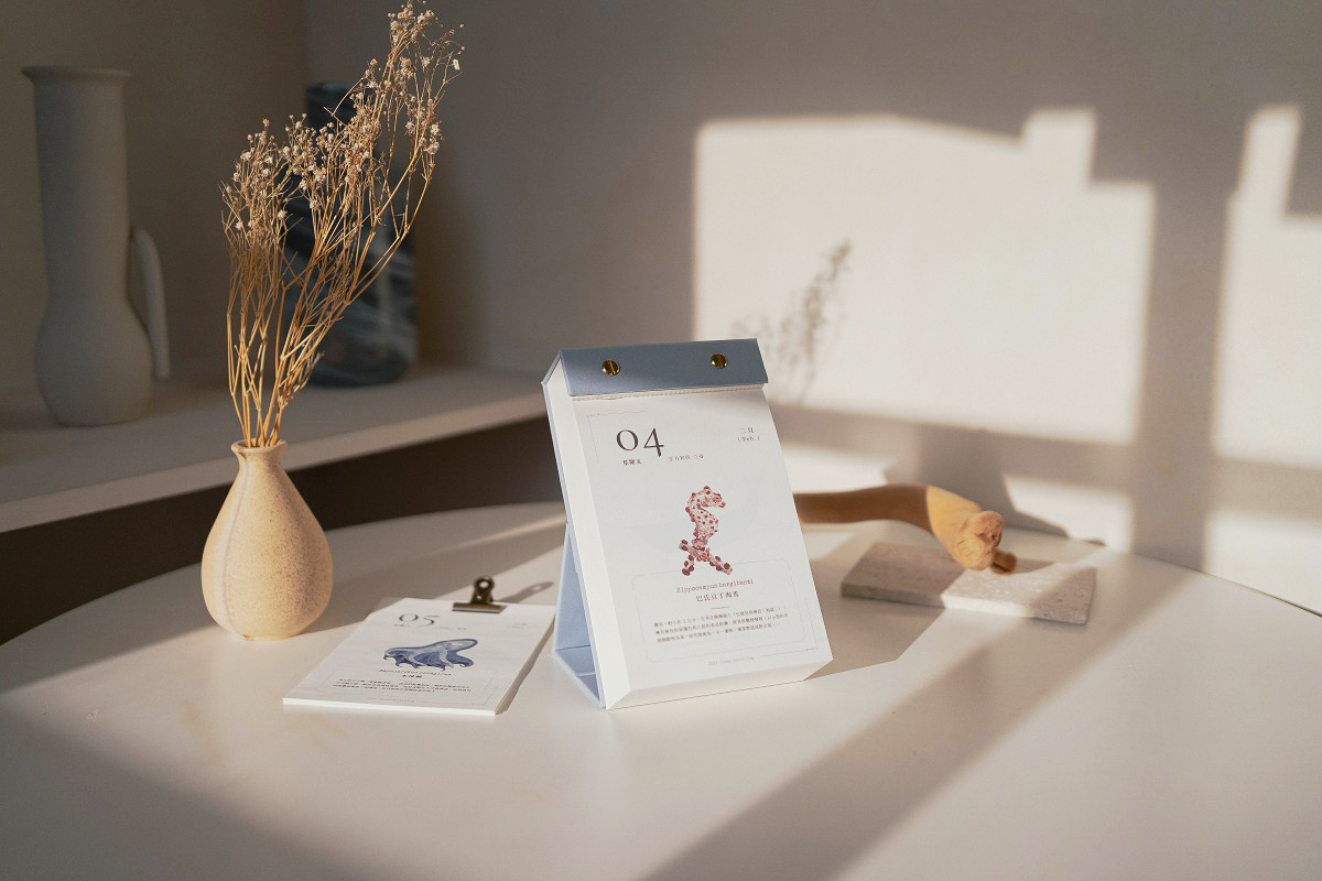 2022海洋生物日曆「漫遊者號」亮點!365天手繪插畫、療癒故事化身海洋說書人