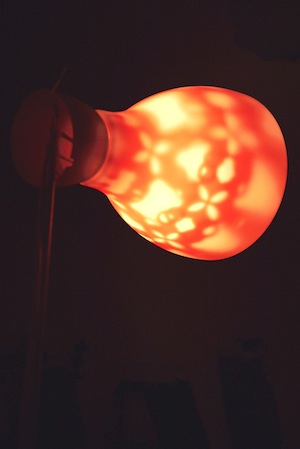 【生活玩物】鮮紅討喜的「一朵花」為你迎來一整年的喜氣