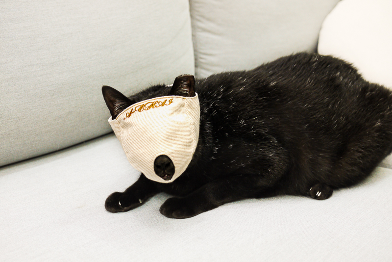 請笑納貓奴的一片真心吧(戴上)!帶給貓貓安全感的「neko zuki」剪指甲面罩