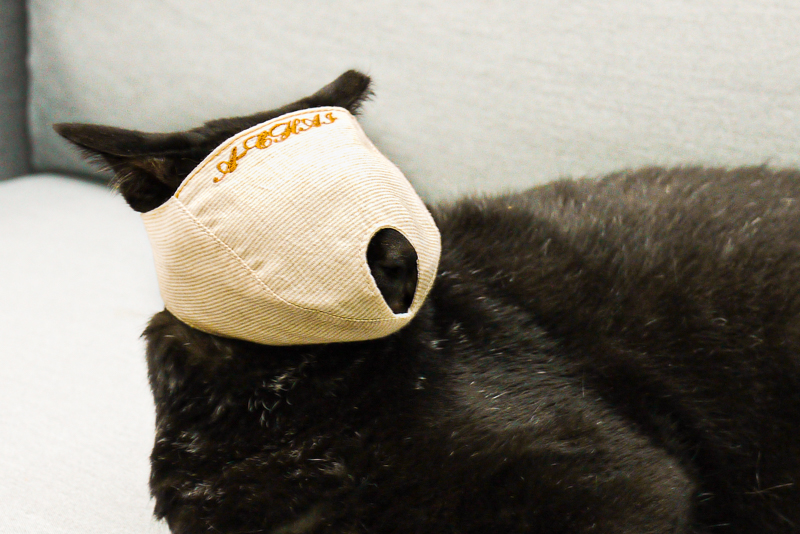 請笑納貓奴的一片真心吧(戴上)!帶給貓貓安全感的「neko zuki」剪指甲面罩