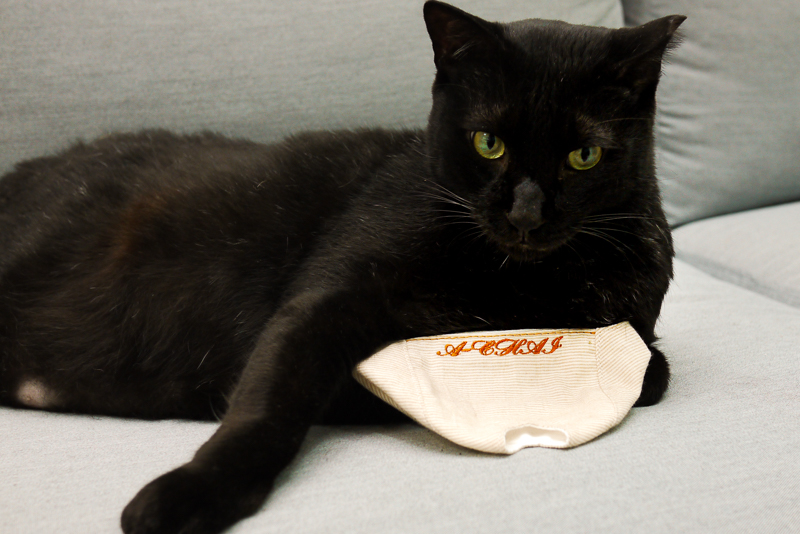 請笑納貓奴的一片真心吧(戴上)!帶給貓貓安全感的「neko zuki」剪指甲面罩