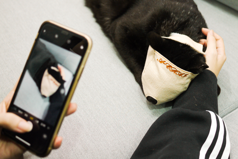 請笑納貓奴的一片真心吧(戴上)!帶給貓貓安全感的「neko zuki」剪指甲面罩