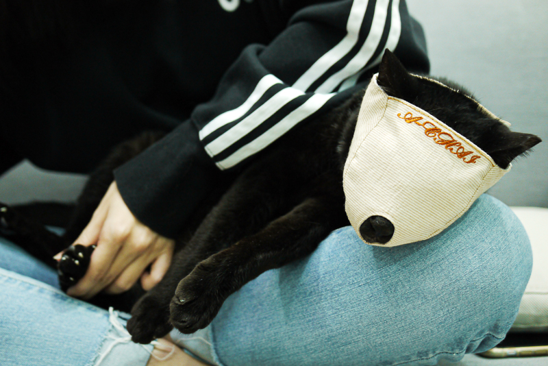 請笑納貓奴的一片真心吧(戴上)!帶給貓貓安全感的「neko zuki」剪指甲面罩