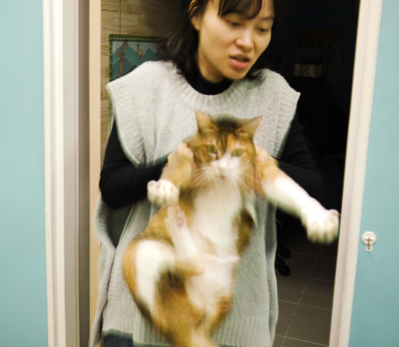 請笑納貓奴的一片真心吧(戴上)!帶給貓貓安全感的「neko zuki」剪指甲面罩