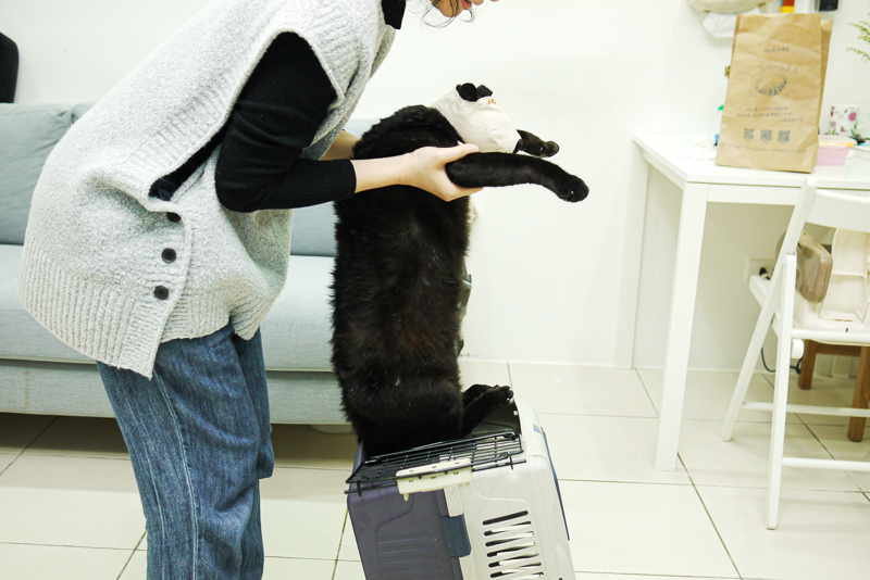 請笑納貓奴的一片真心吧(戴上)!帶給貓貓安全感的「neko zuki」剪指甲面罩