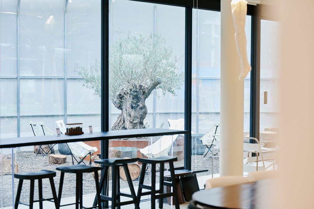 林口「胚pae venue」全新生活提案聚所！結合咖啡廳、植物、概念策展的永續空間