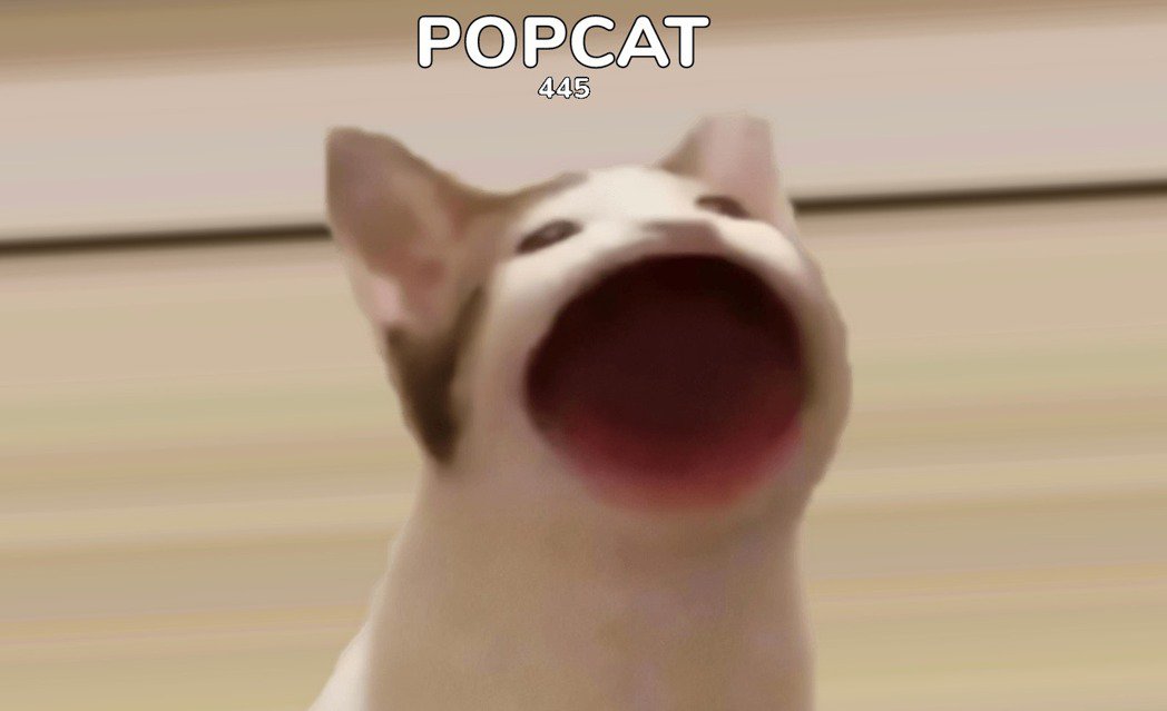 迷因貓「Popcat click」網頁點擊遊戲！用快速點擊證明你的愛貓指數