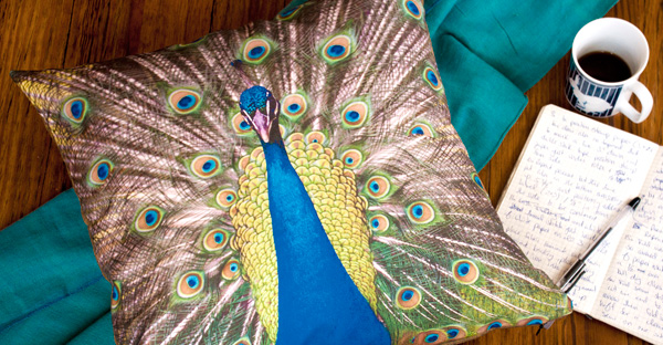 小心！你的枕頭上有蛇！！