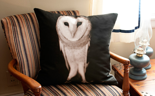 小心！你的枕頭上有蛇！！