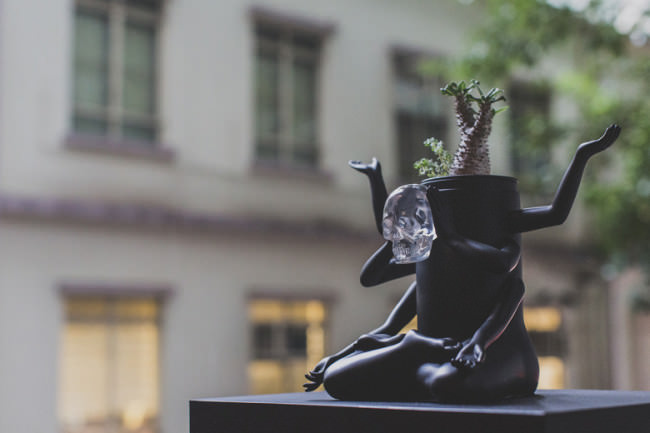 另類的盆栽設計，具有神性的黑色Plants of Gods