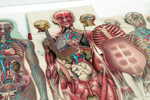 【觀展感想】想像沒有極限!立體書的異想世界